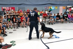 Nuke the K-9 Police Dog (6)